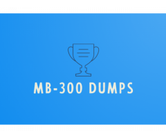 Microsoft MB-300 Exam