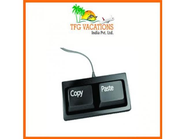 Tourism Company Required Online Promoter