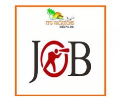 ​Part/Full Time Jobs For Freshers/Experienced/Unemployed