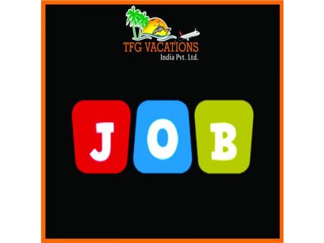 Internet Marketing Jobs-Fresher / Working