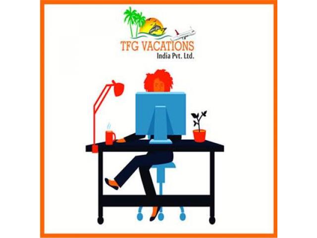 Back Office Executive