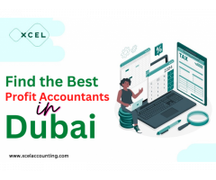 Find the Best Profit Accountants in Dubai