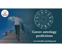Job or Business - Consult with Vedic Astrologer