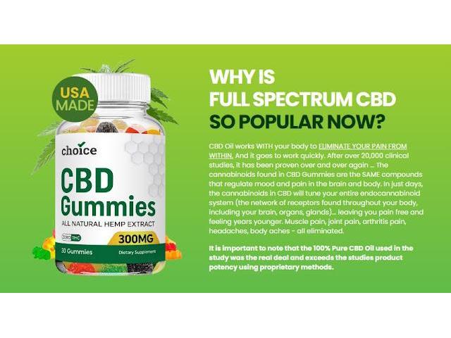Choice CBD Gummies:-Does It Really Work for joint pain?