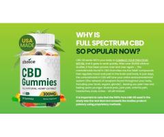 Choice CBD Gummies:-Does It Really Work for joint pain?