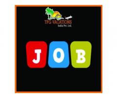 Online Promotion work in Tourism Company Vacancy For Online Marketing