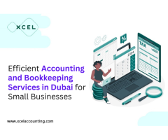 Efficient Accounting and Bookkeeping Services in Dubai for Small Businesses