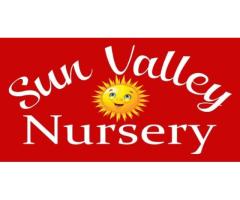 Sun Valley Yard Design