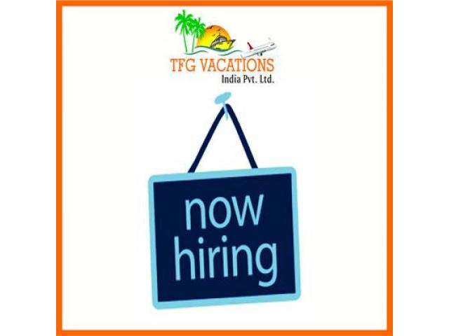 Your Dream Job Come True