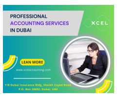 Exploring the Benefits of Professional Accounting Services in Dubai