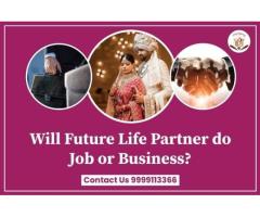 Will future life partner do Job or Business?