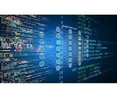 Certificate Program in AI for Risk Management